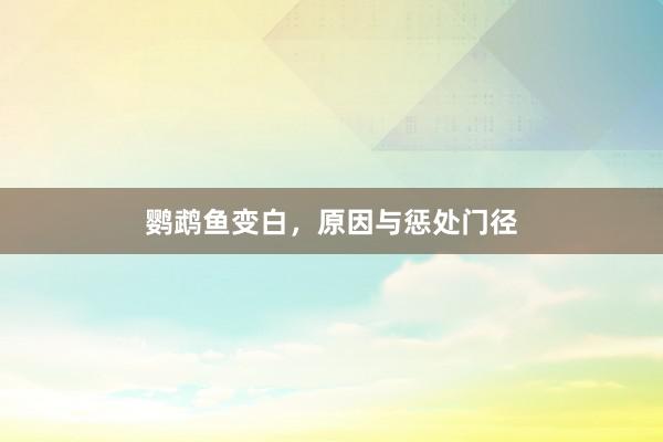 鹦鹉鱼变白,原因与惩处门径